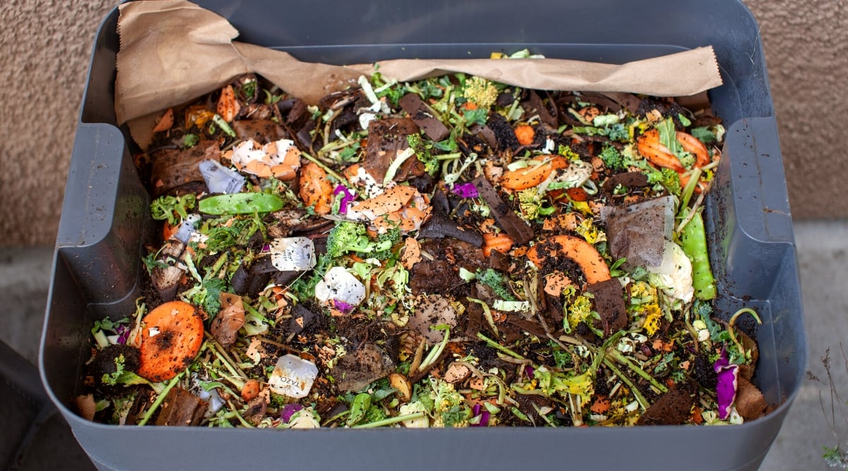 Is Worth The Trouble?