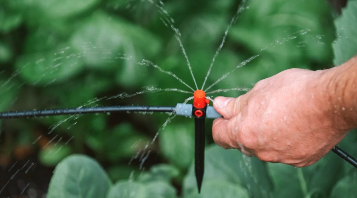 How to Install a DIY Drip Irrigation System in 9 Easy Steps