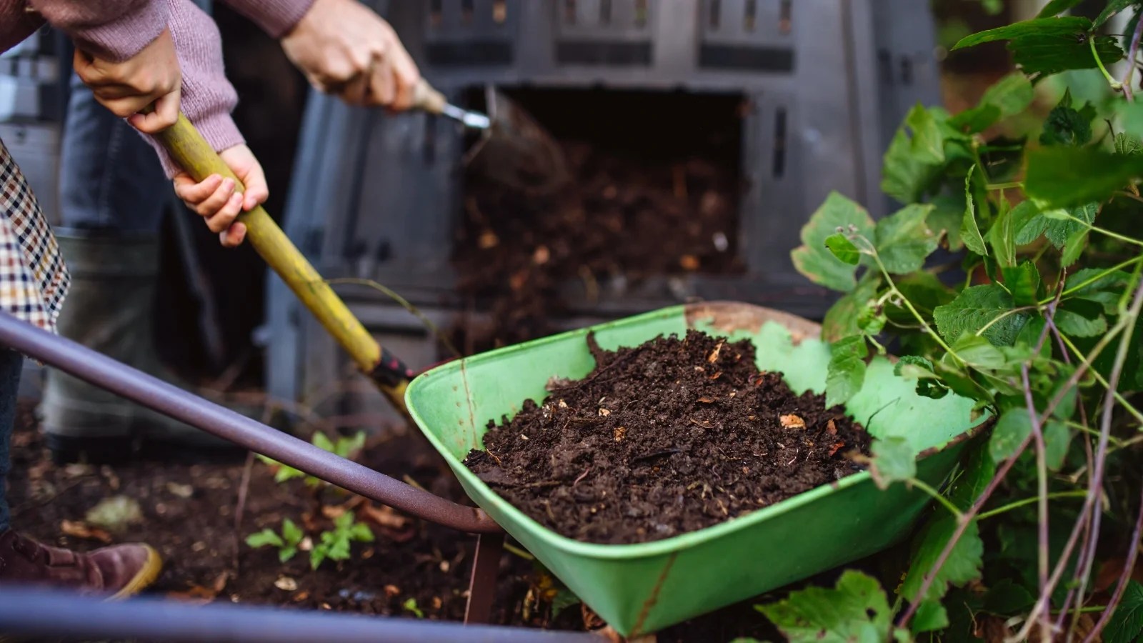Compost 101 How to Start Composting for Beginners