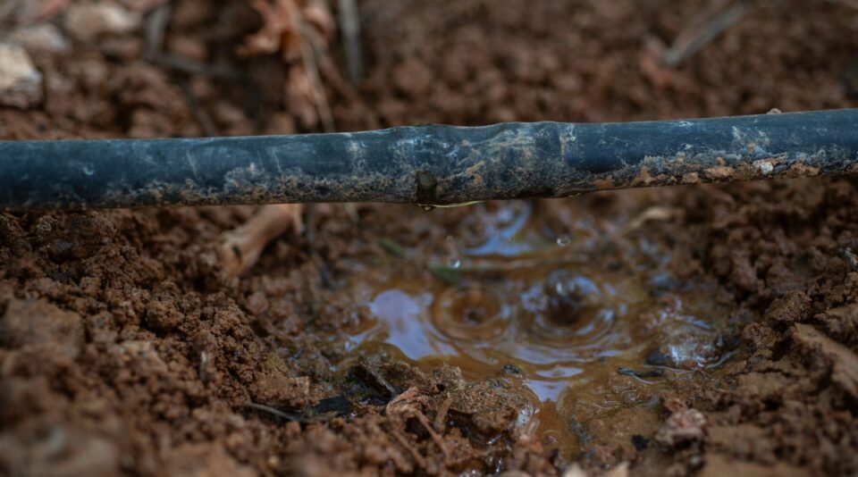 How Often and How Long Should I Run Drip Irrigation?