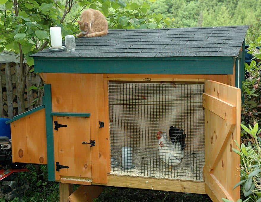 30 Awesome Custom Chicken Coop Ideas and DIY Plans (PHOTOS)