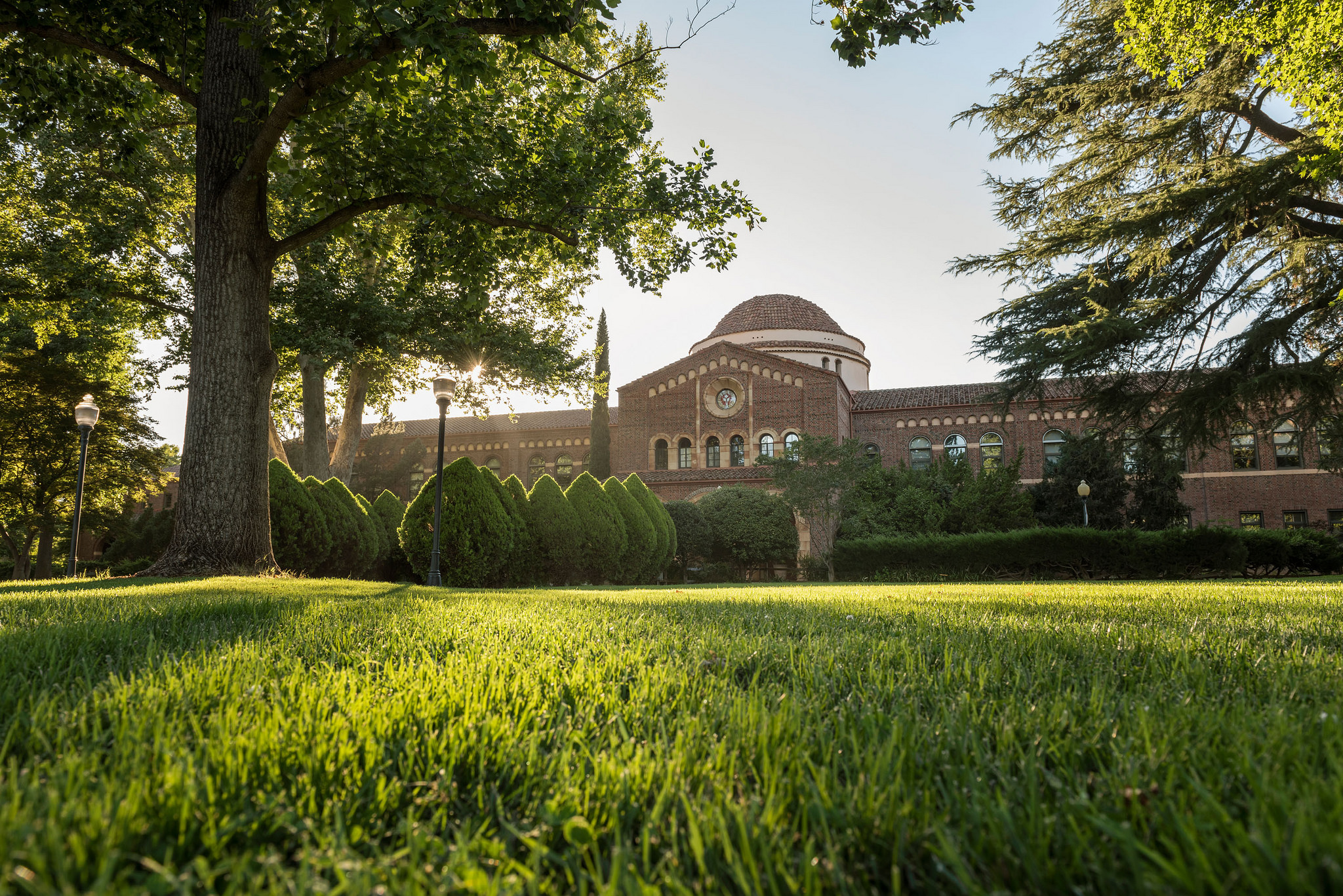 California State University, Chico EPICN