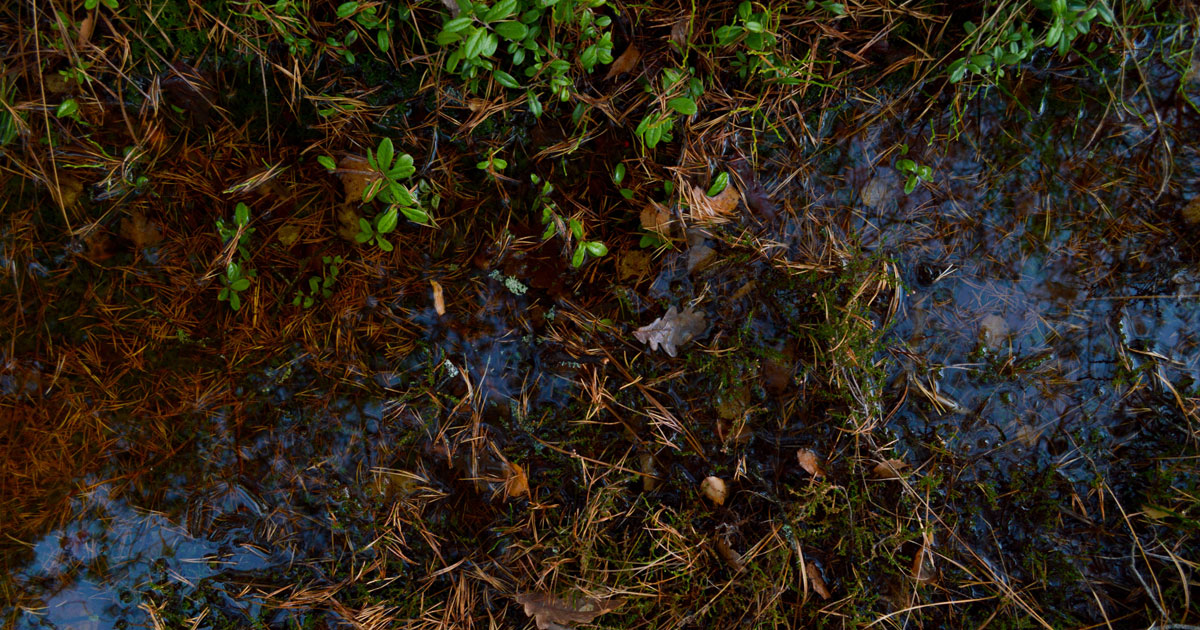 Environmental Groundwater Courses