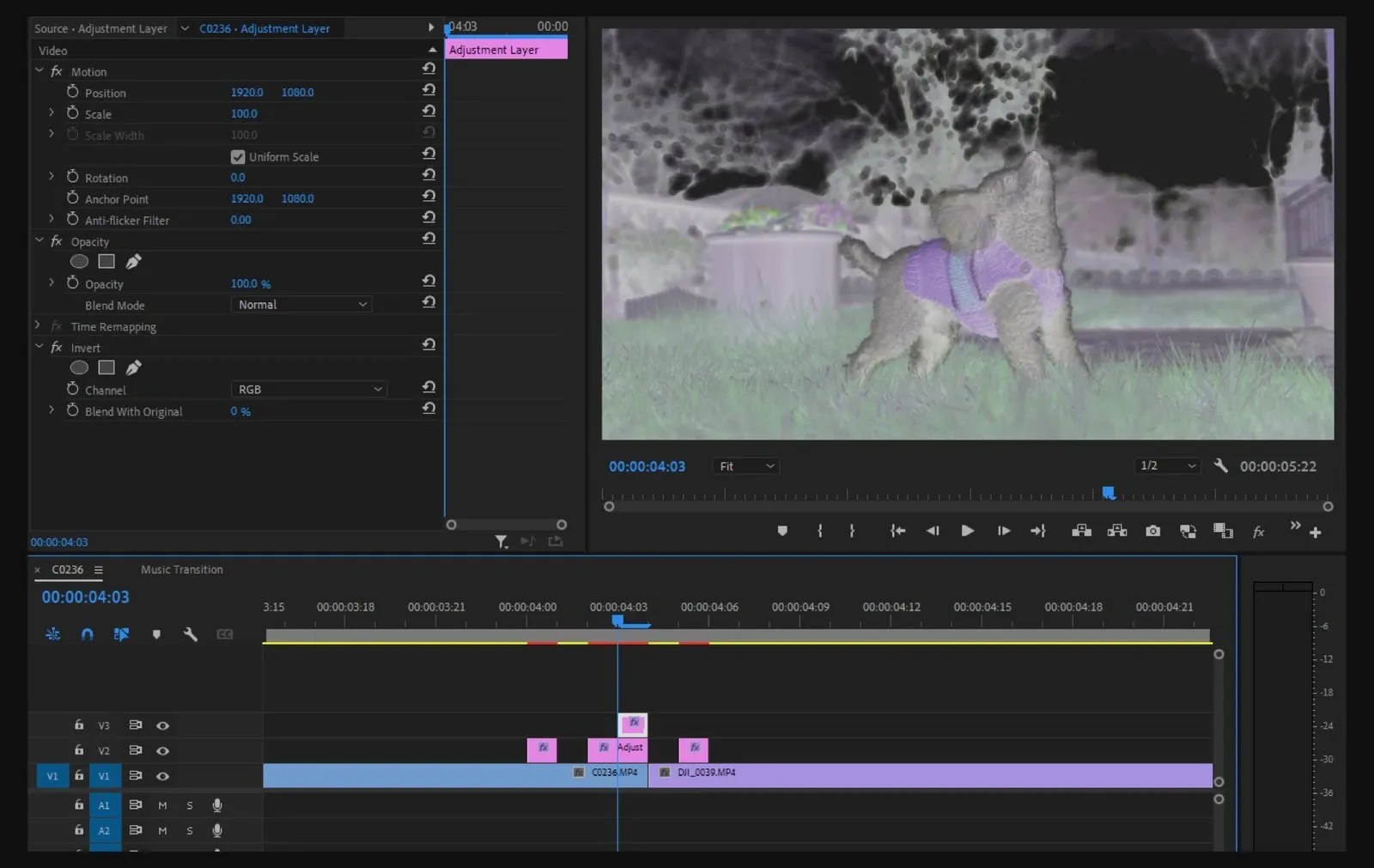 5 best Premiere Pro transition effects Epidemic Sound