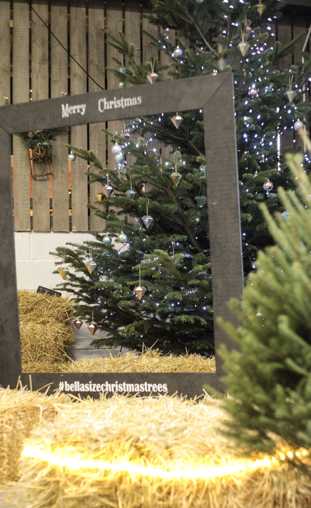 Real or fake Christmas tree debate Epitome Styling