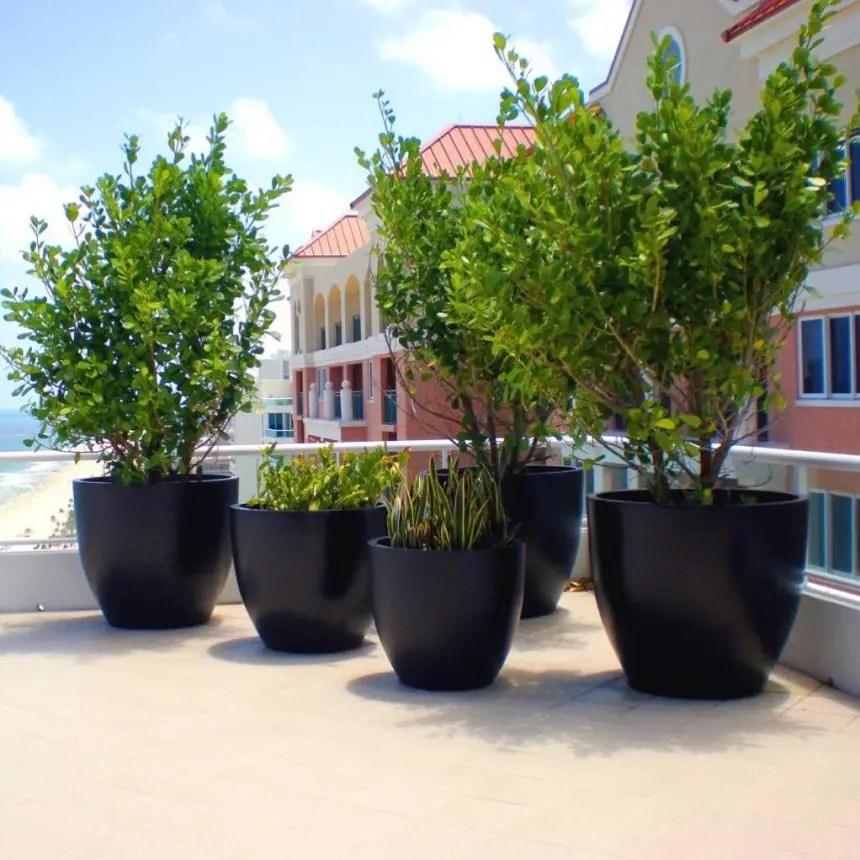 11 Unique Extra Large Planters for Trees ePlanters