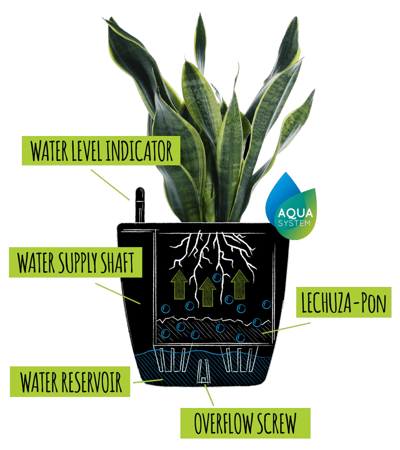 SelfWatering Planters 20+ Color Options Ships Free Over 99