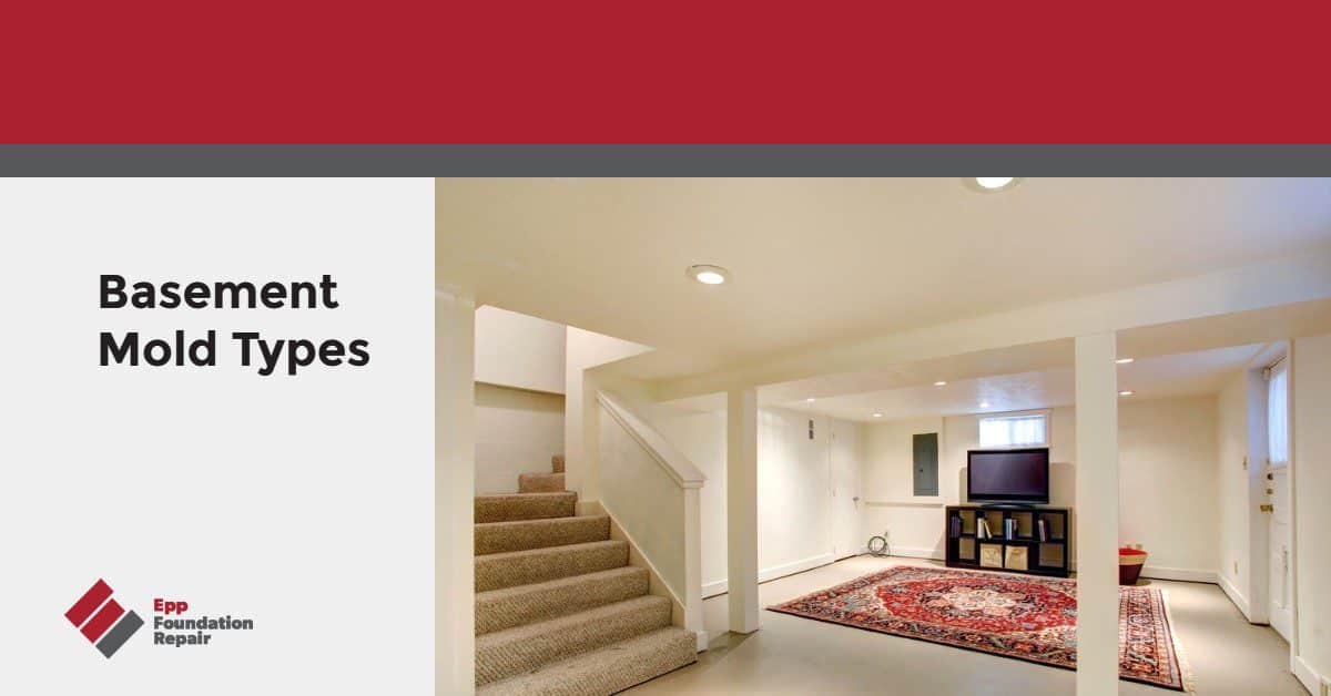 Basement Mold Types Epp Foundation Repair