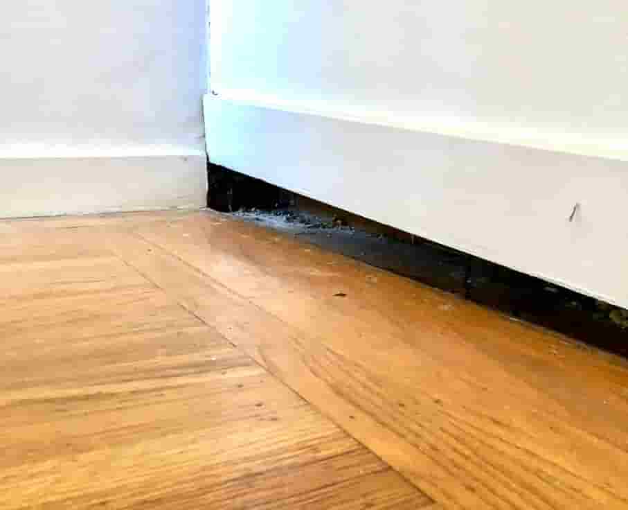 What Exactly Is Foundation Leveling? Epp Foundation Repair
