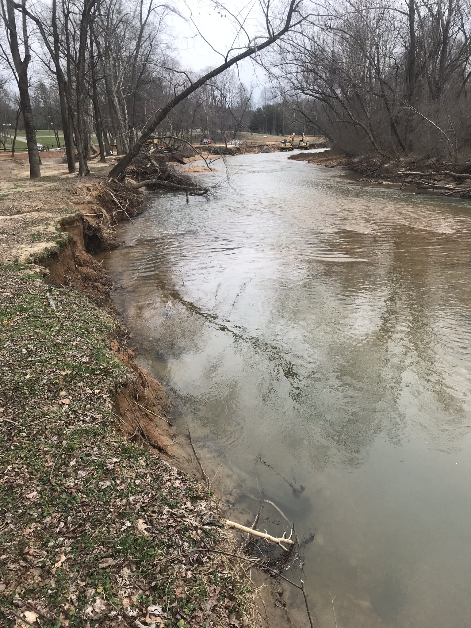 Restoring Fisher River Park in Surry County, North Carolina Ecosystem