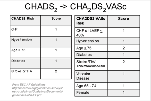 What If My CHA2DS2VASc Score Is One? EP Studios