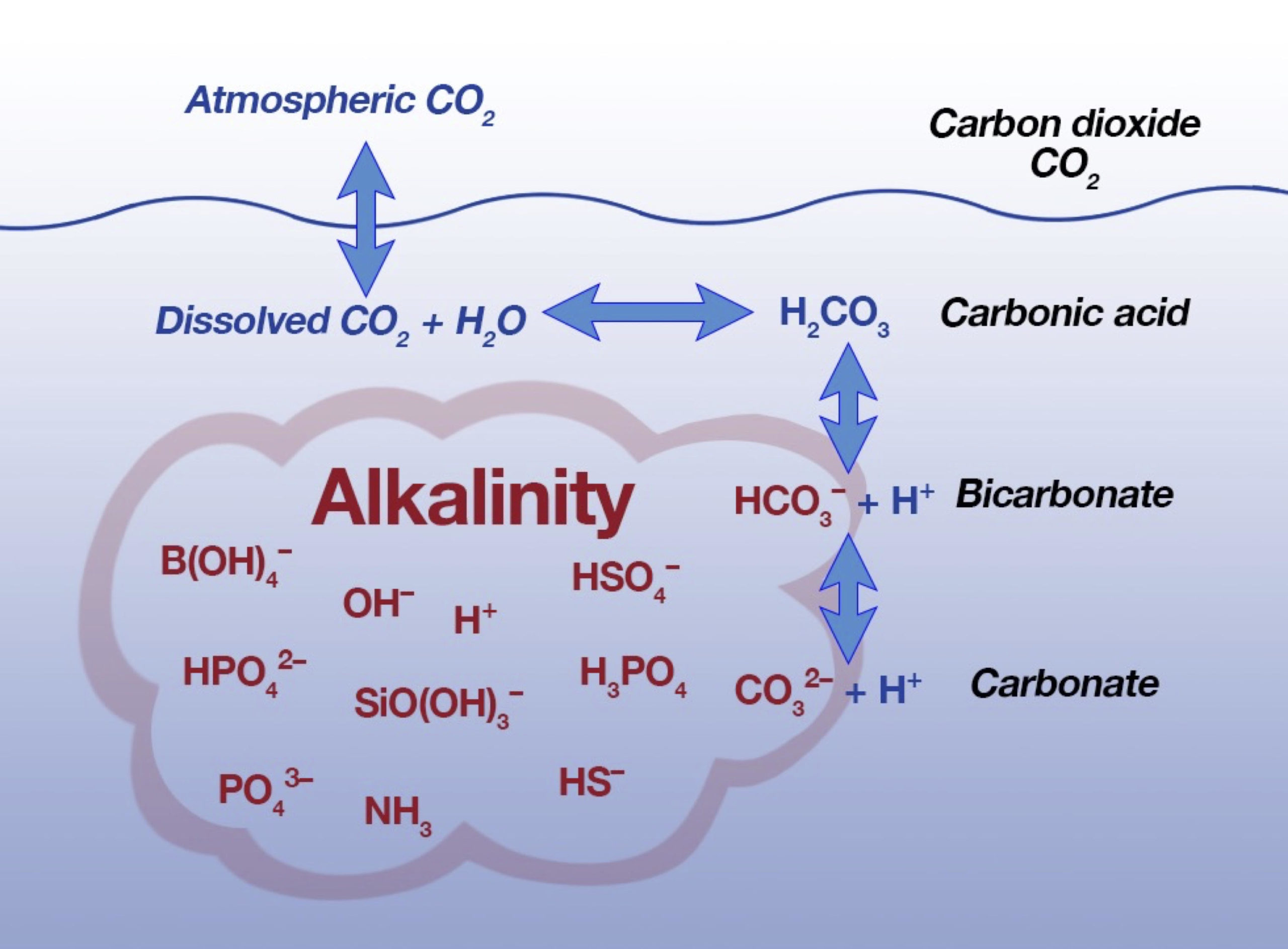 Hudson Valley Trivia