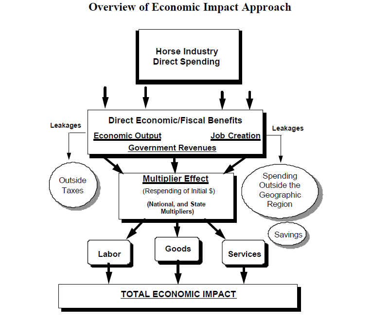 Equine Economic Impact Horse Economic Impact Allen Financial Group
