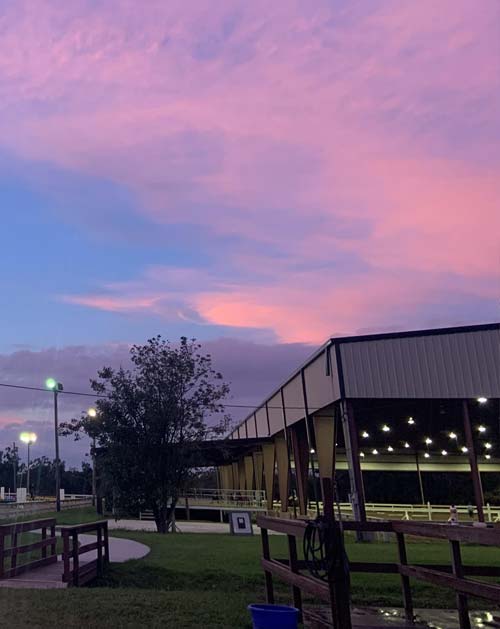 Equest Farm Englishstyle Hunter/Jumper Riding Lessons