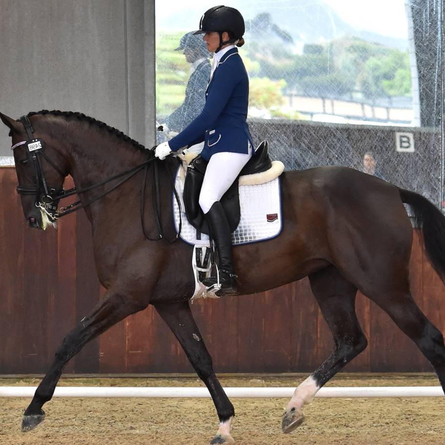 2016 Australian Paralympic Equestrian Team Equestrian Australia