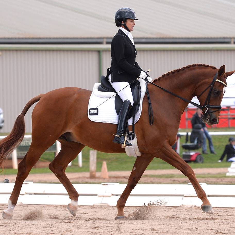 2016 Australian Paralympic Equestrian Team Equestrian Australia