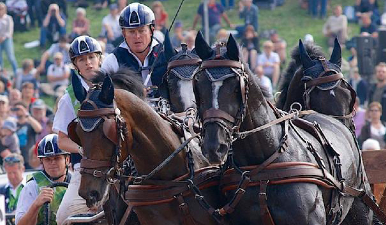 Boyd Exell and Team currently sit in first place Equestrian Australia