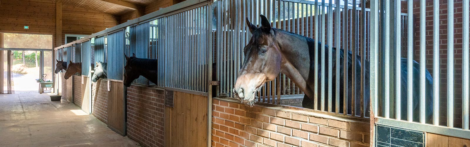 Equestrian facilities East Anglia Manege Services