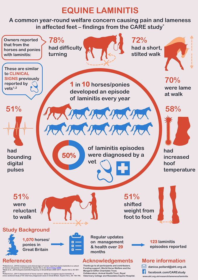 Laminitis & Microcurrent Therapy with ArcEquine