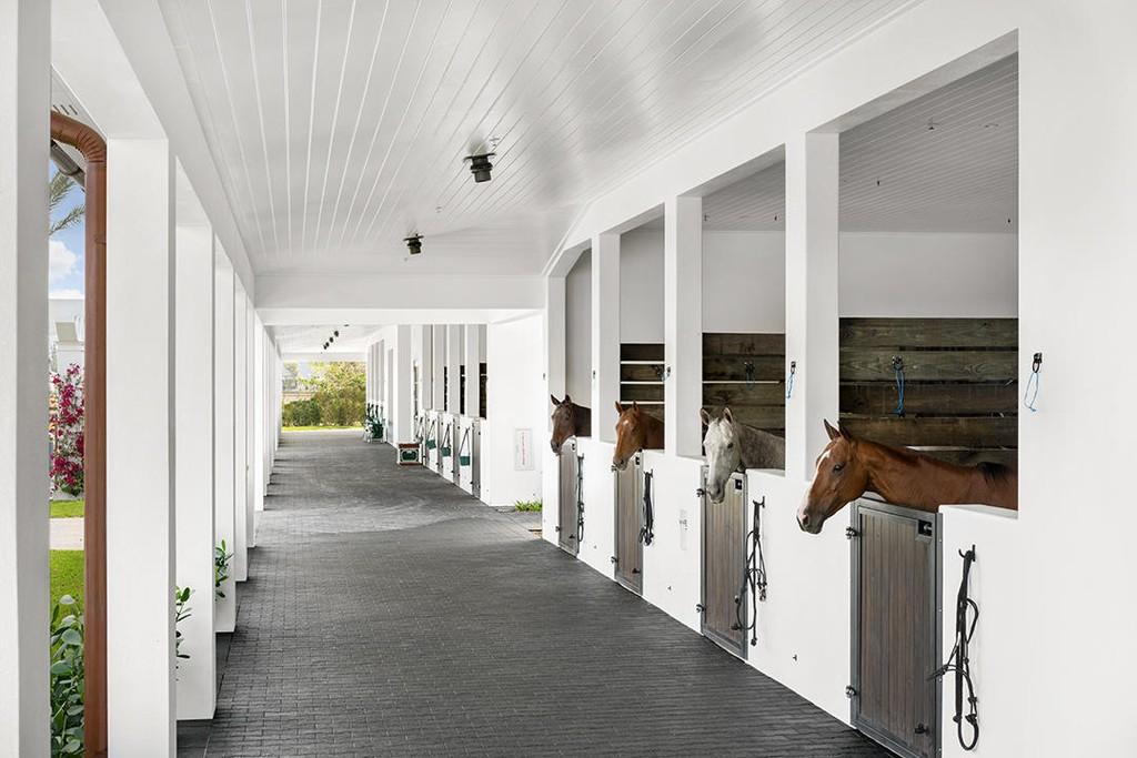 Top MultiMillion Dollar Equestrian Properties For Sale In Wellington, FL Equestrian Stylist