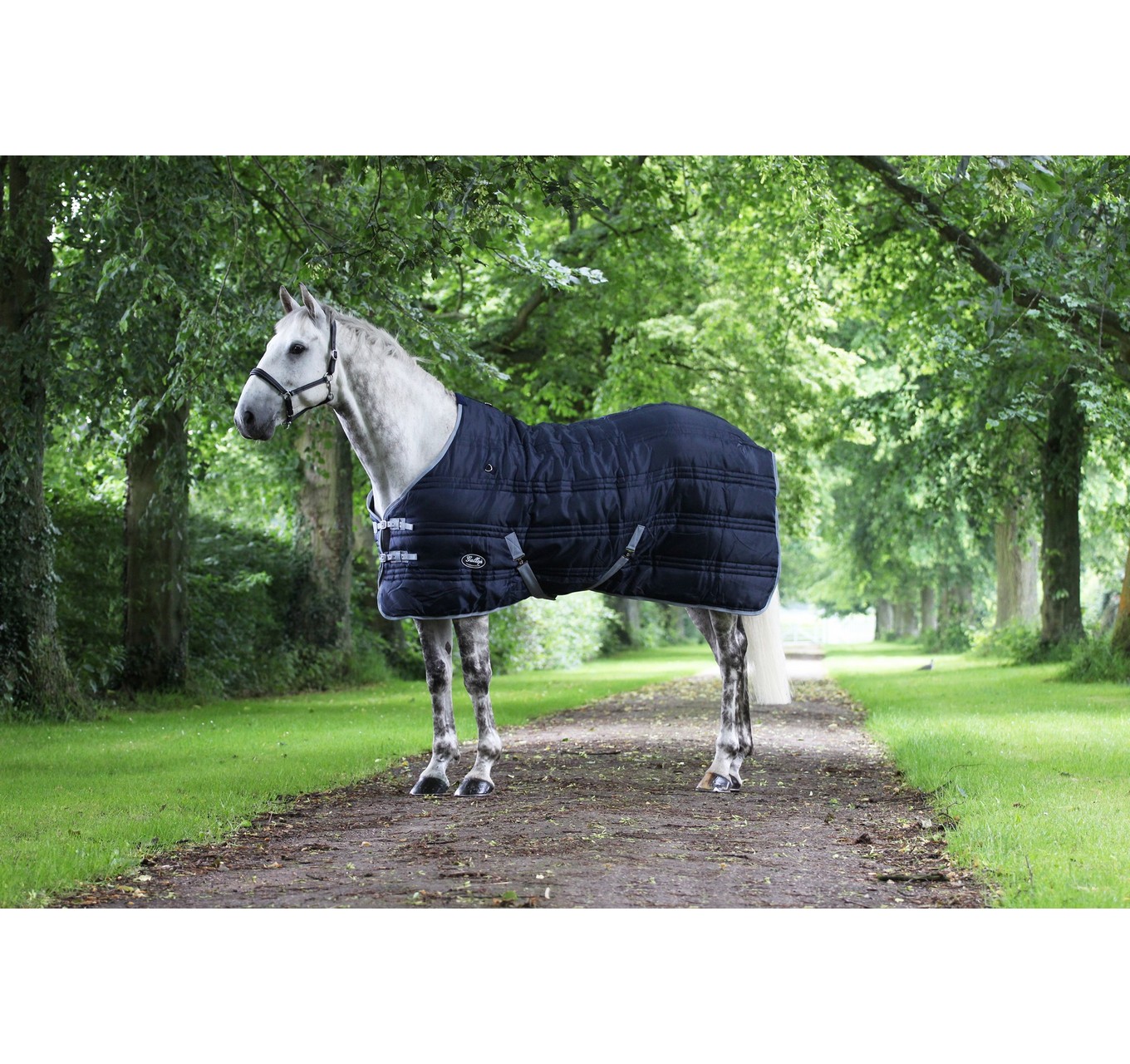 Defender 300 Stable Rug Equestrian World