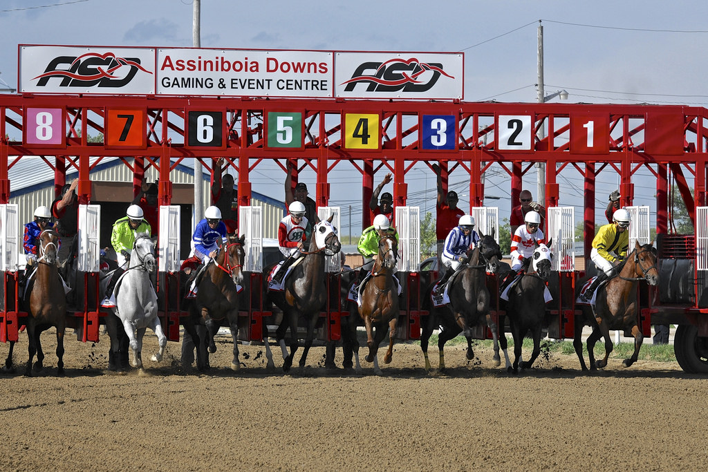 Equibase Horse Racing Horse Racing Entries Horse Racing Results