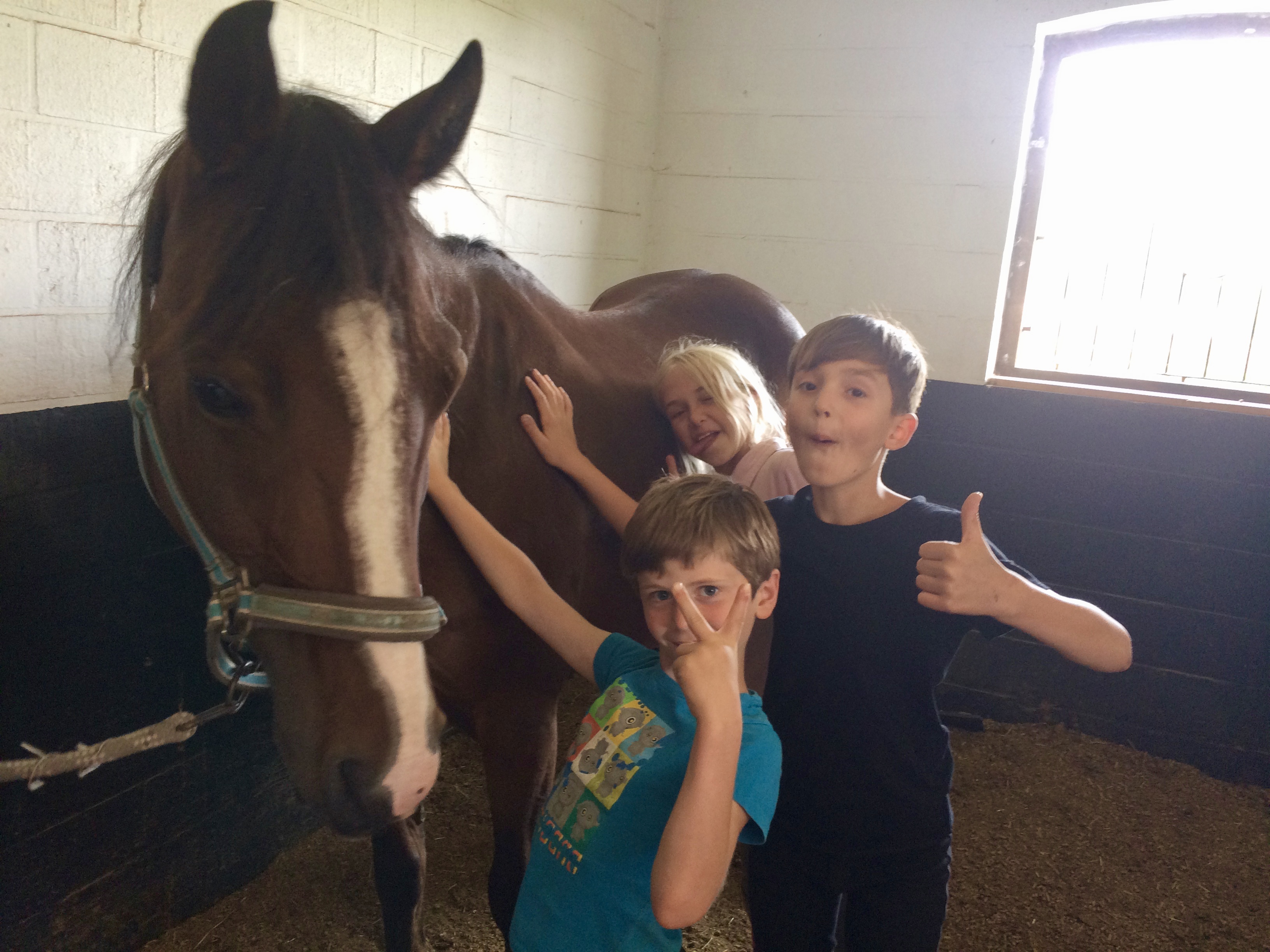 verjaardagsfeest Equidream Lochristi Equitherapie