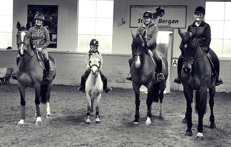 STALL BERGAN Making equestrian business a profitable business