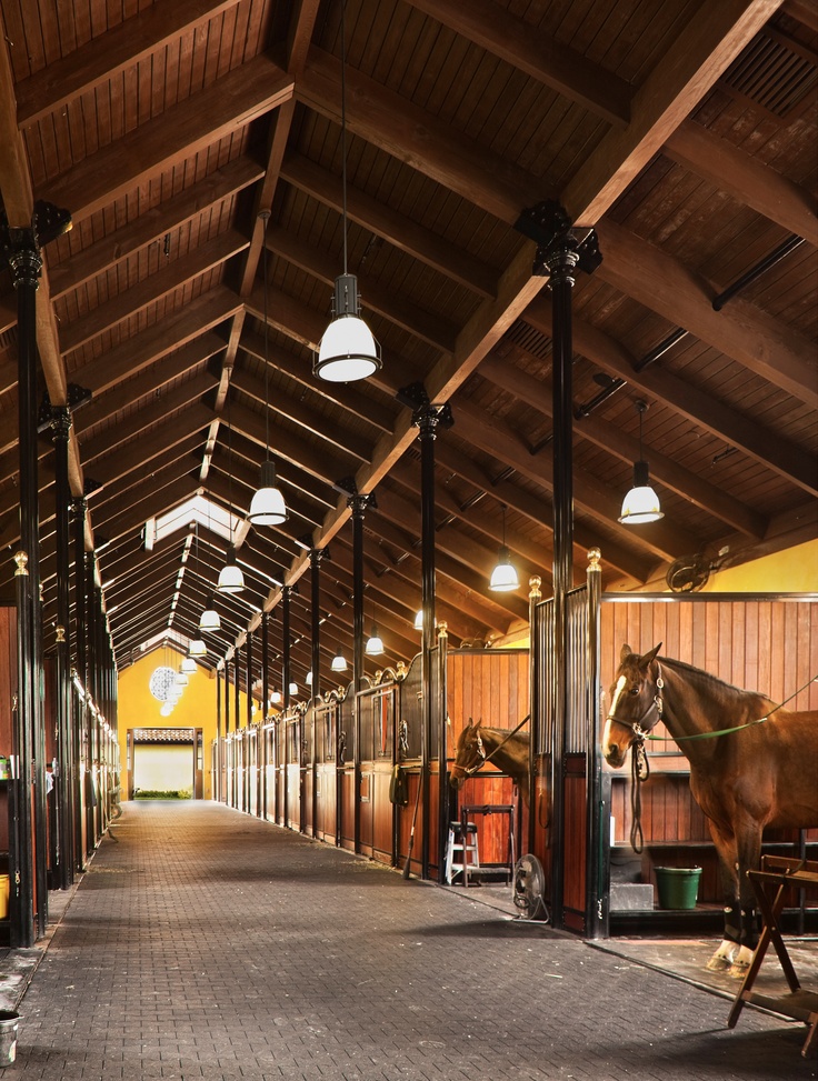 Wellington Horse Farm Equilife World