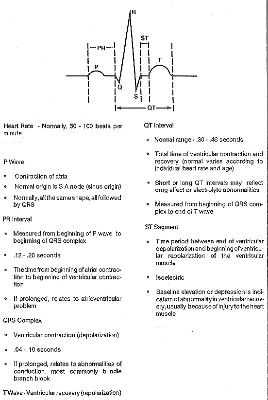 Normal Heart Beat equimedcorp