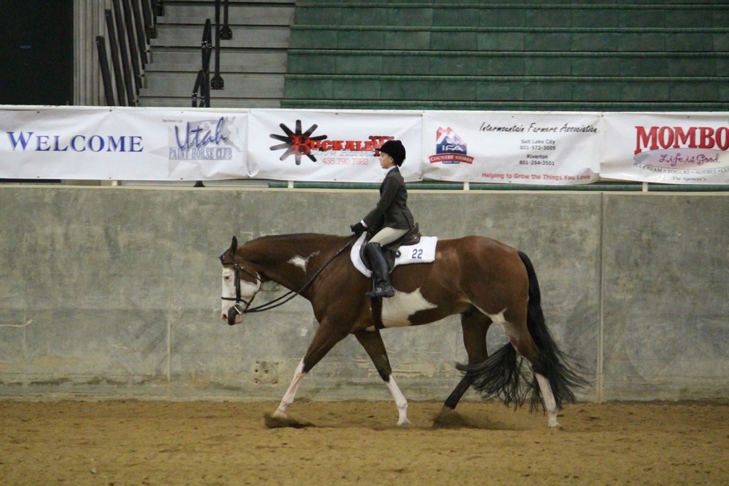 Results and Photos From Utah Paint Horse Show, March 2223 Equine