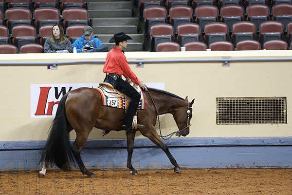 Aaron Moses and Lope With Grace Win AQHA World 2YearOld Western