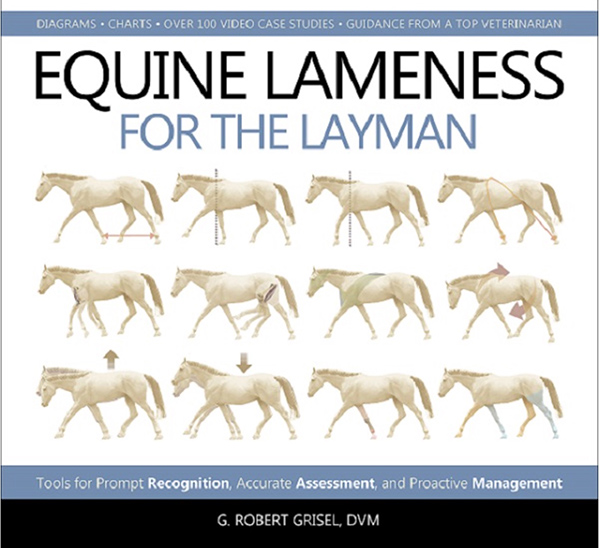 Equine Lameness For the Layman Equine Chronicle