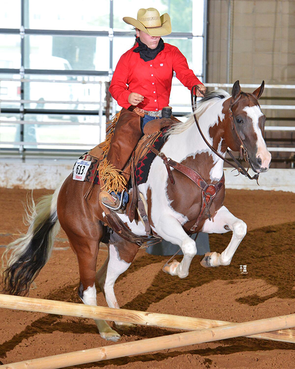 Behind the Scenes at 2018 Paint Horse Congress Equine Chronicle
