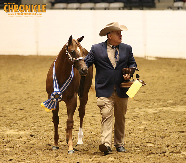 Stratton, Davis, Robertson, Roark, Pait and More Named Congress