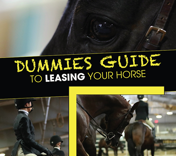 Dummies Guide to Leasing Your Horse Equine Chronicle