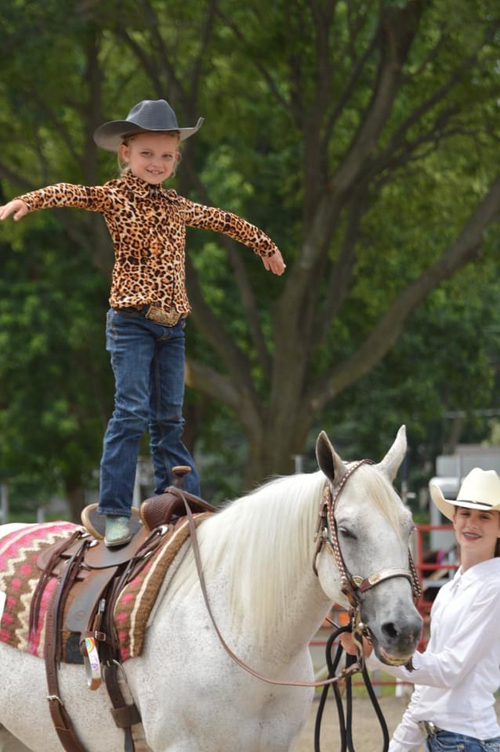 From AQHA Rope Horse to Small Fry AllArounder Equine Chronicle