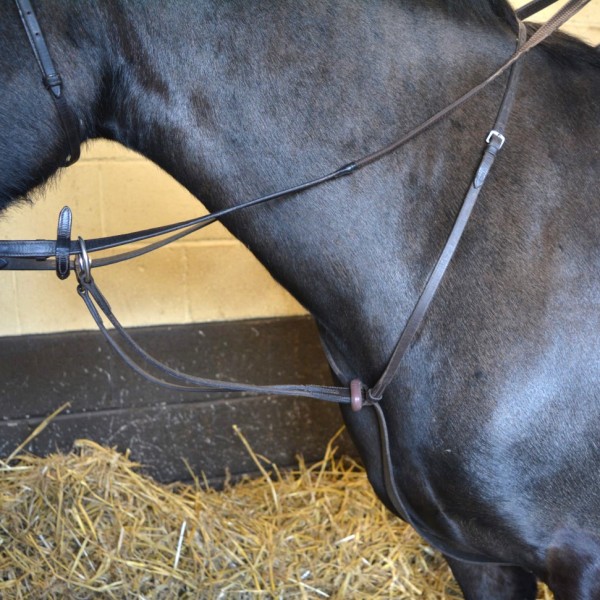 Martingales & Breastplates Equine Knowledge