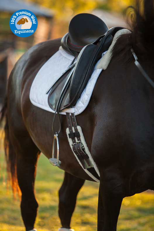Equinenz Wool Lined Dressage Girth