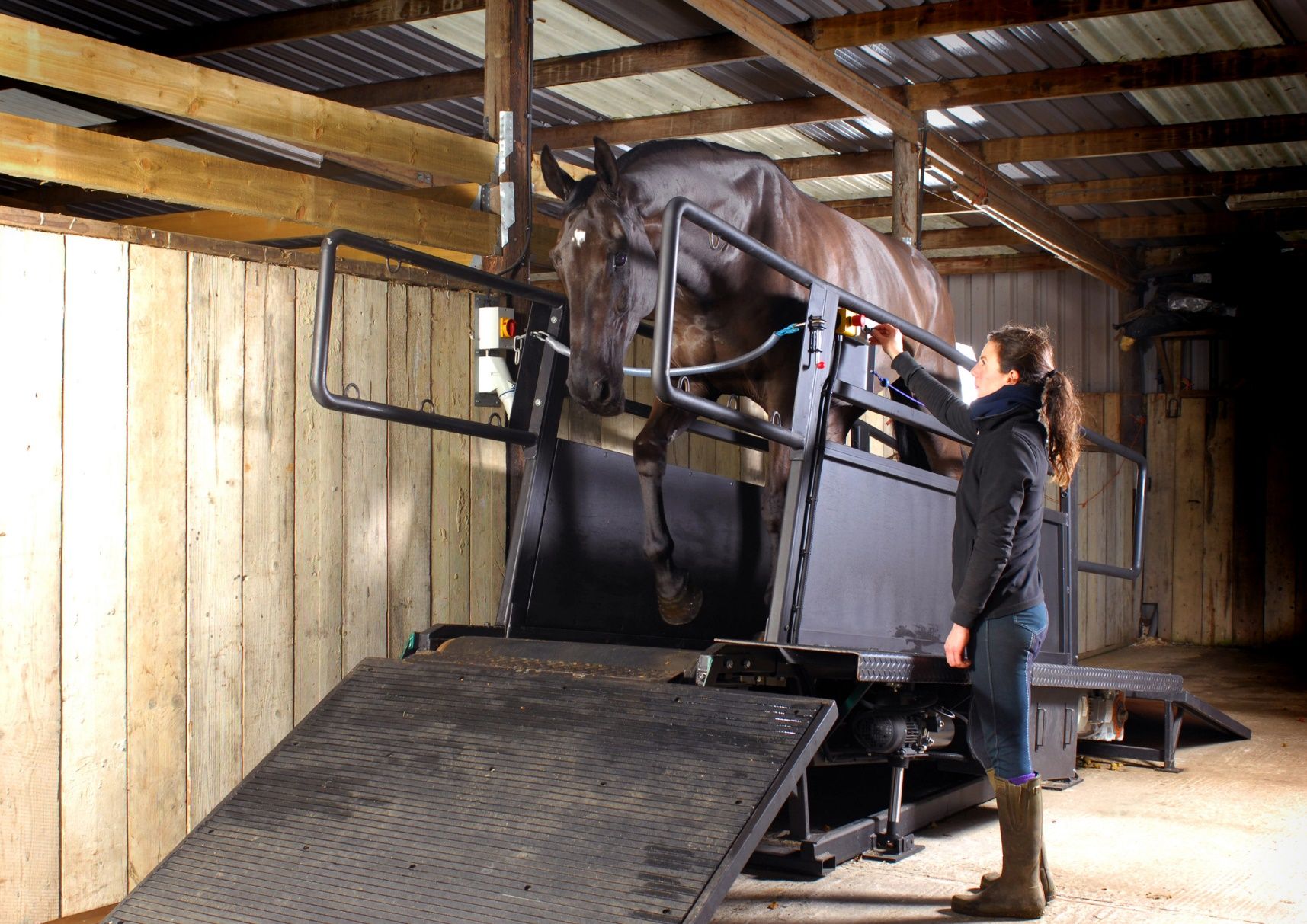 TREADMILLS Equine Quality