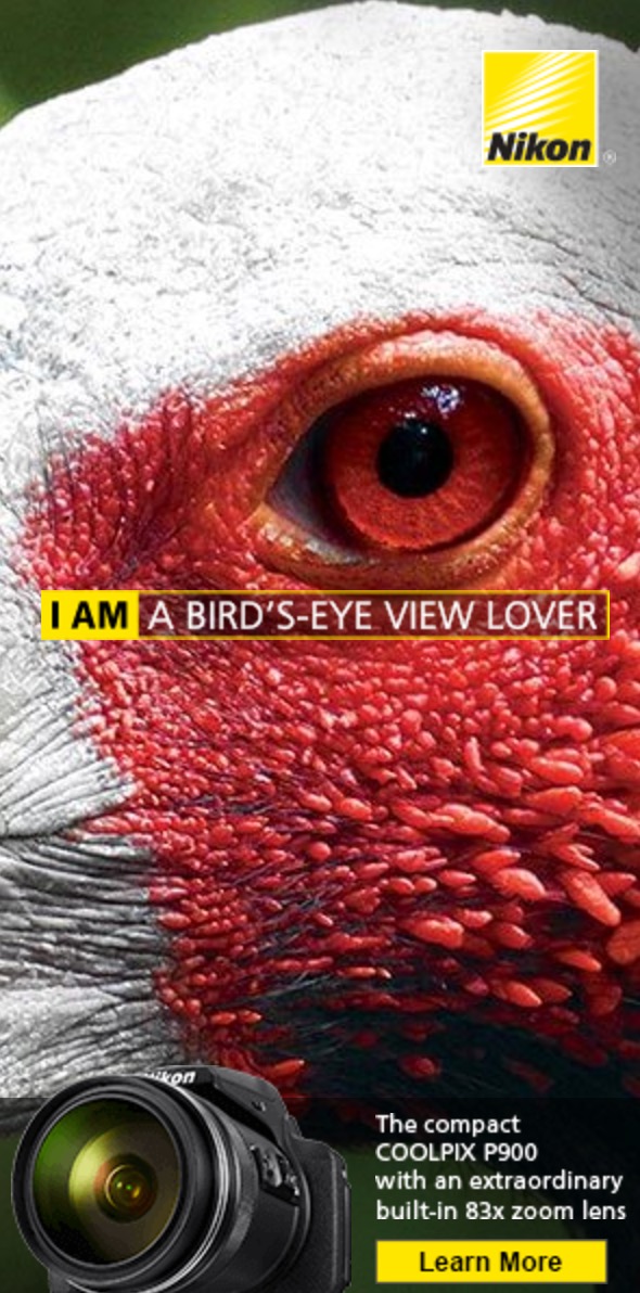 20 Google Ads Search and Display Ad Best Practices (Checklist Included