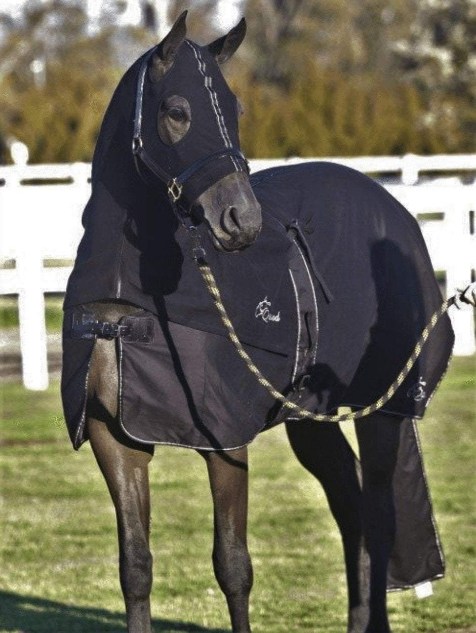 Earlwood Black Label Cotton Show Rug