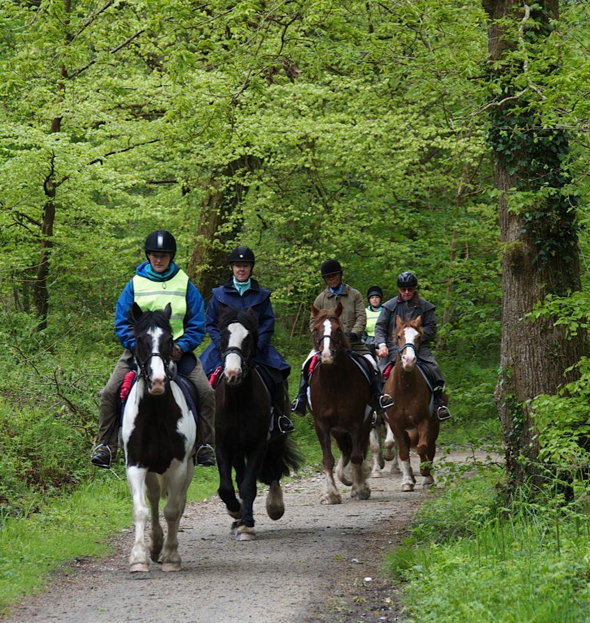 Discover Cornwall Horseback riding in England's Moors