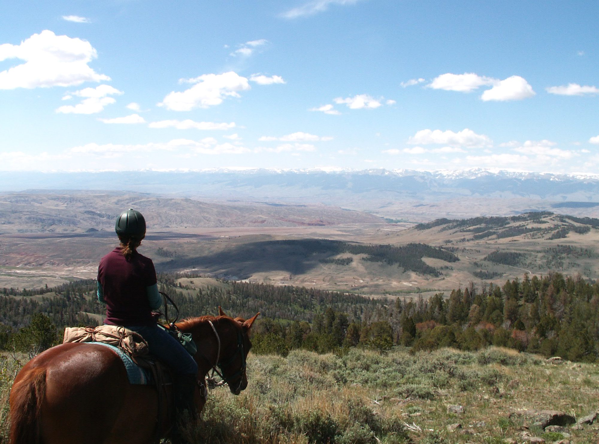 Cattle Range Riding Weeks Equitours Horseback Vacations Worldwide