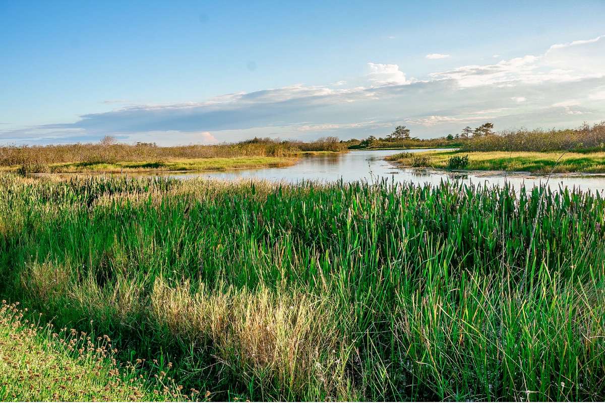 Exploring the Best States For Rural Real Estate Investing EquityMax