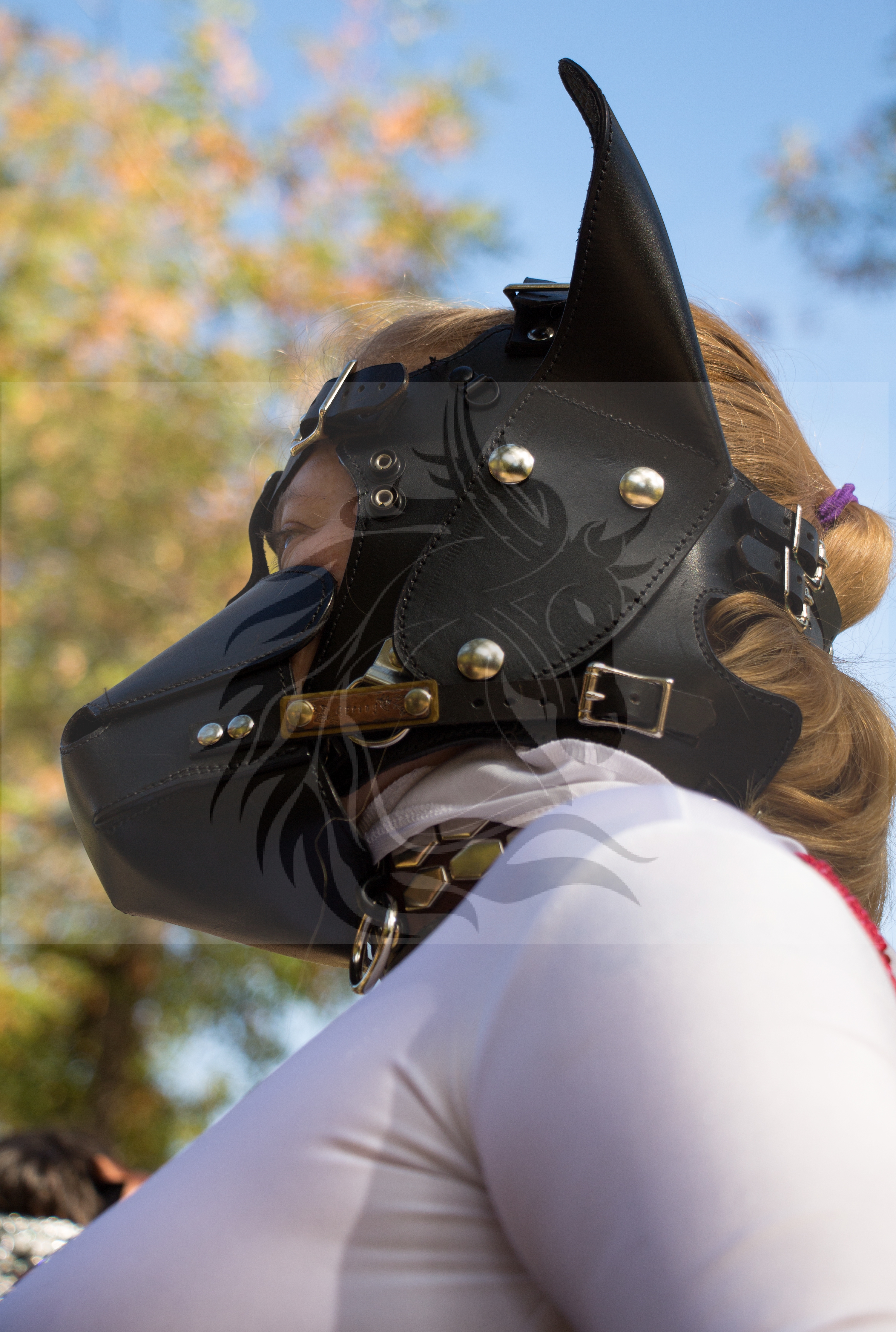 EQUUS International Pony Play Calendar Equus