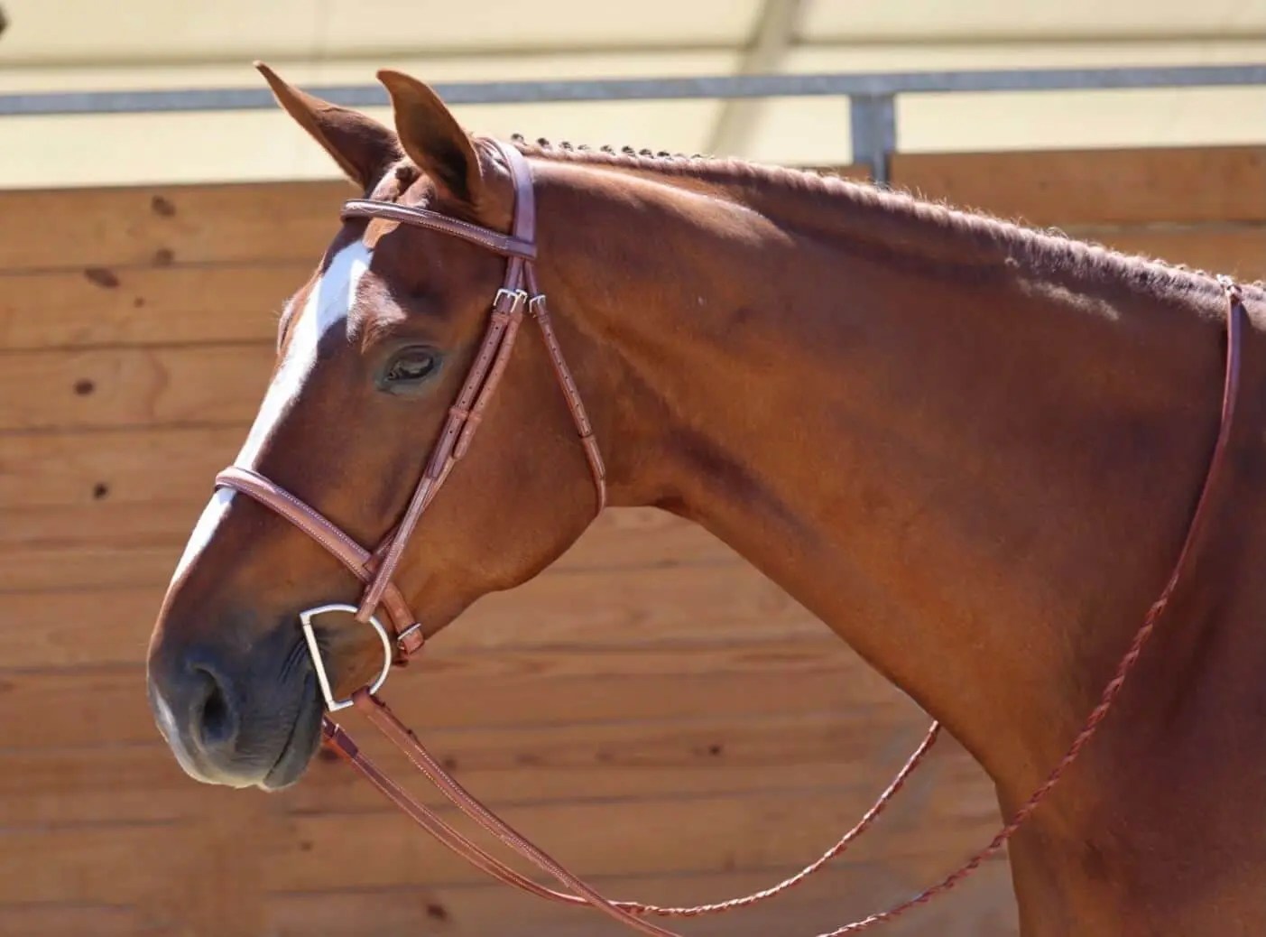 English Bridles EquuSport Custom Saddlery