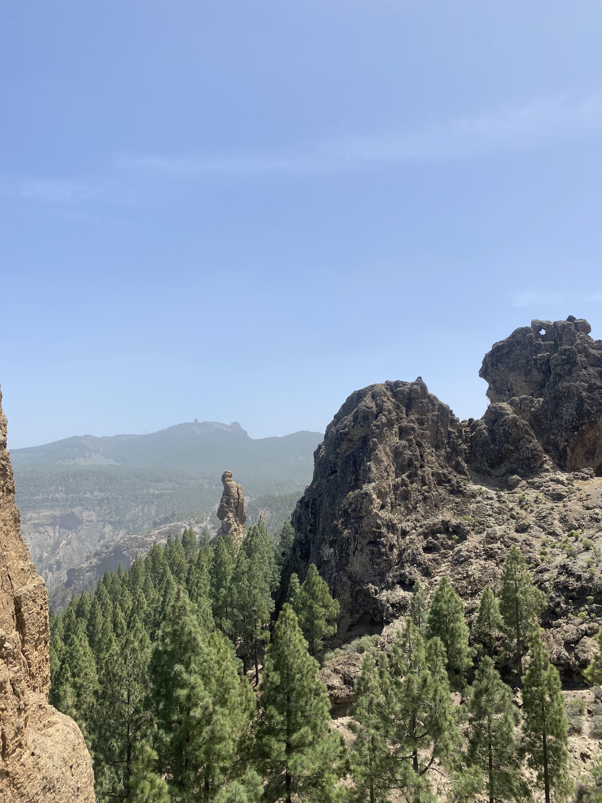 Erasmus in Las Palmas de Gran Canaria Erasmus+ Journal