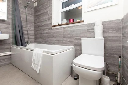 109 Furnished studios for rent in Brighton Erasmus Play