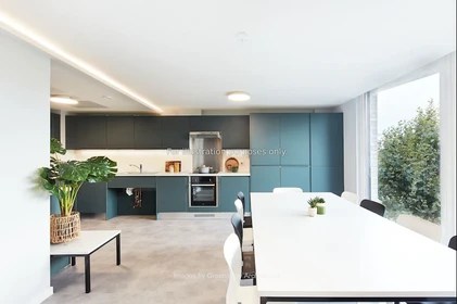 109 Furnished studios for rent in Brighton Erasmus Play